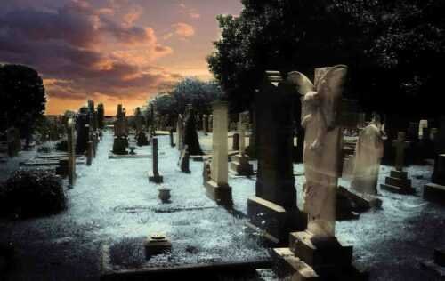 Highgate cemetery vampire
