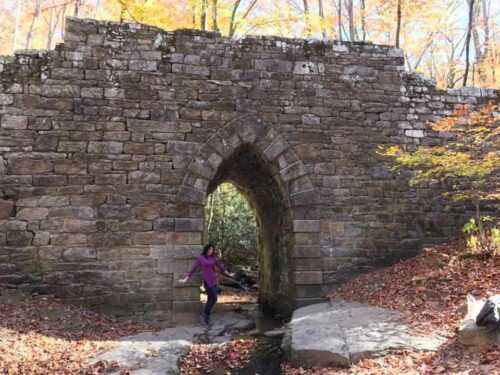 Poinsett Bridge picture