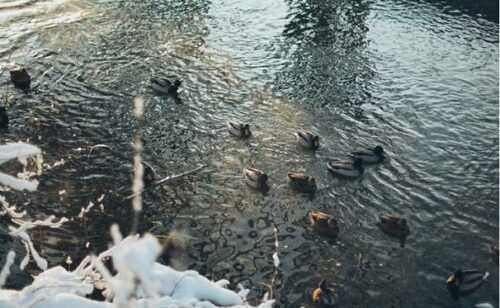 anjikani lake