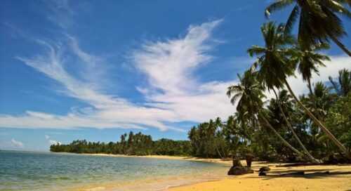 The Mysterious Snake Island (Ilha da Queimada Grande) in Brazil