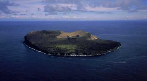 The Mysterious Snake Island (Ilha da Queimada Grande) in Brazil