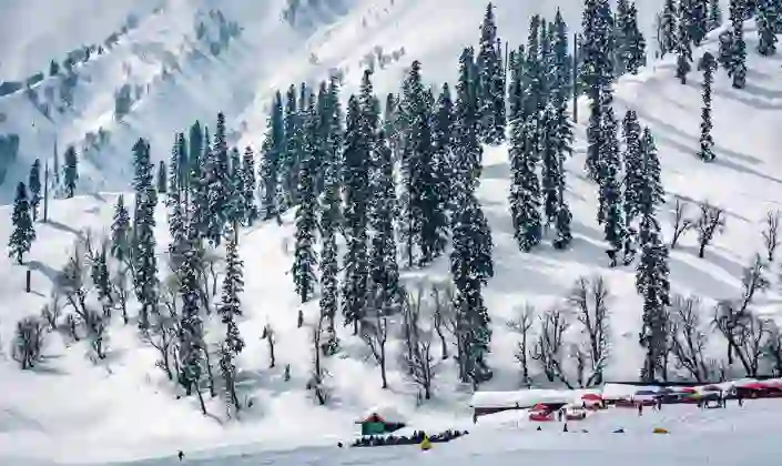 Hill stations near katra