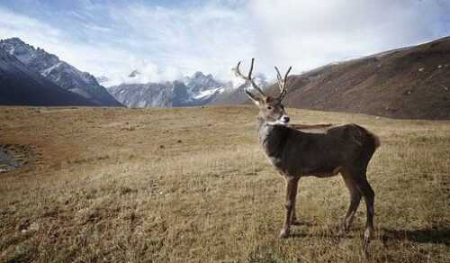 USA Off Beaten Destinations