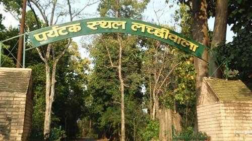 Lacchiwalla Dehradun Travel Guide