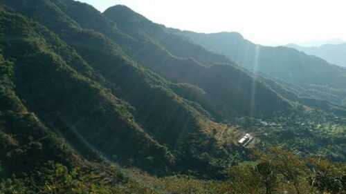 Dehradun Travel Guide