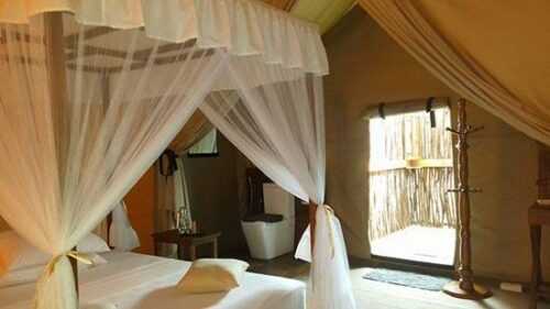 Tent Resorts in Jaipur