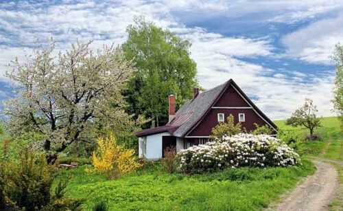 home stay in Chopta