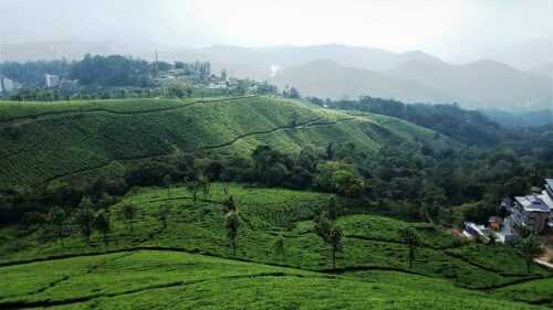 Munnar Itinerary