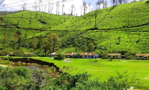 Munnar Itinerary