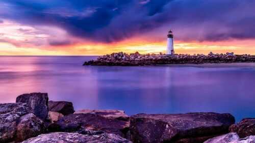 Things to do in Chopta: Trekking, Camping, Birds, Wildlife, Snow Sports!