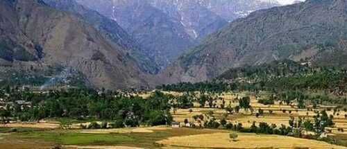 Things to do in Palampur