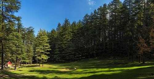Kanasar – Camping and Trekking in Chakrata