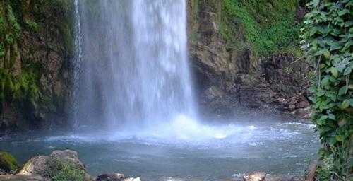 Tiger Falls