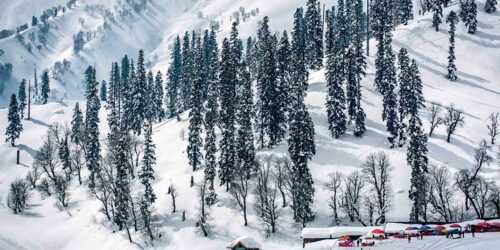 Best Places to go in January in India