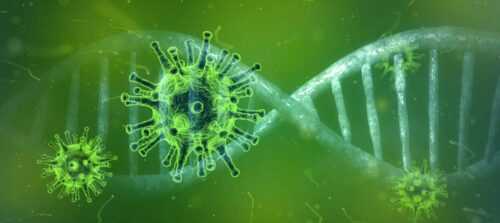 coronavirus