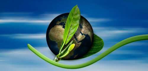Eco-Friendly Travel Products