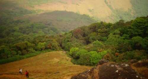 Tadiandamol Trek