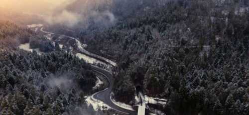 Germany's Black Forest
