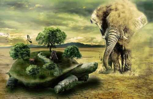 wildlife safari