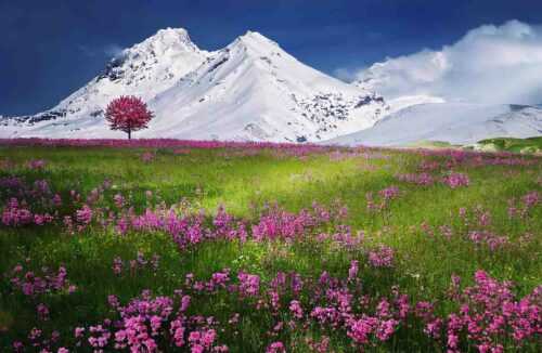 hill stations near delhi