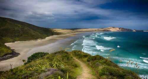 new zealand in the Summer