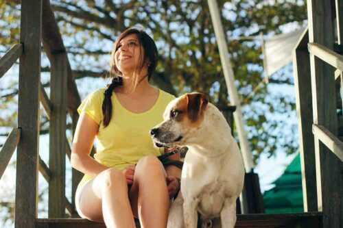 Travel With Your Dog