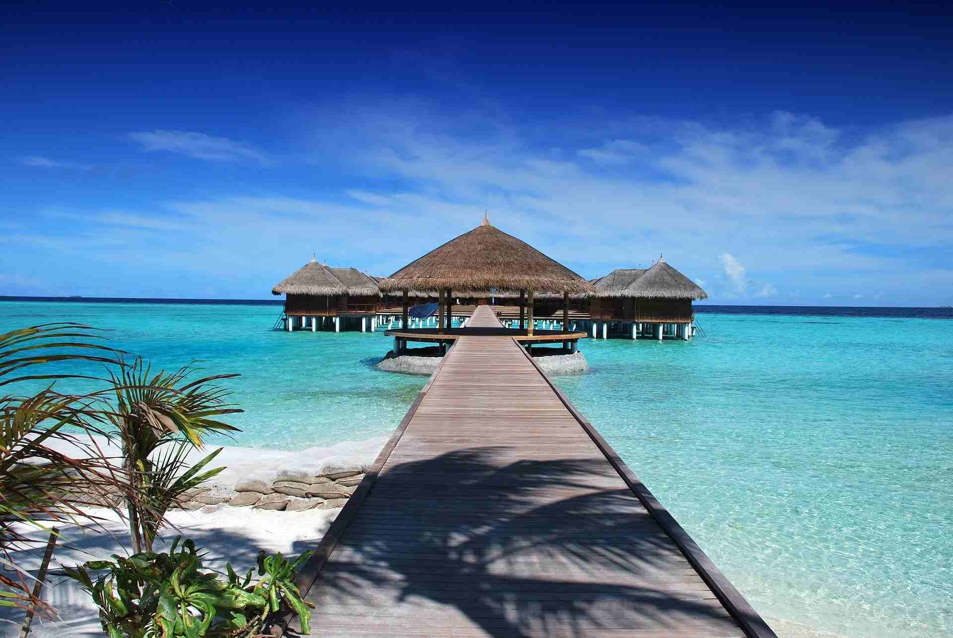 Honeymoon Destination