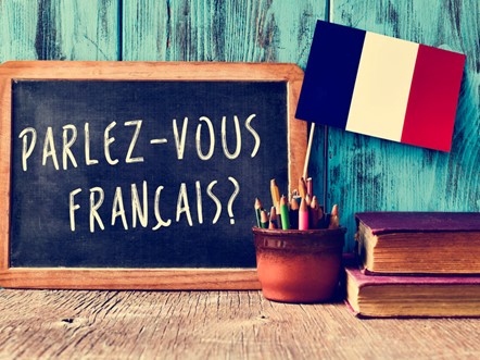 French immersion programs
