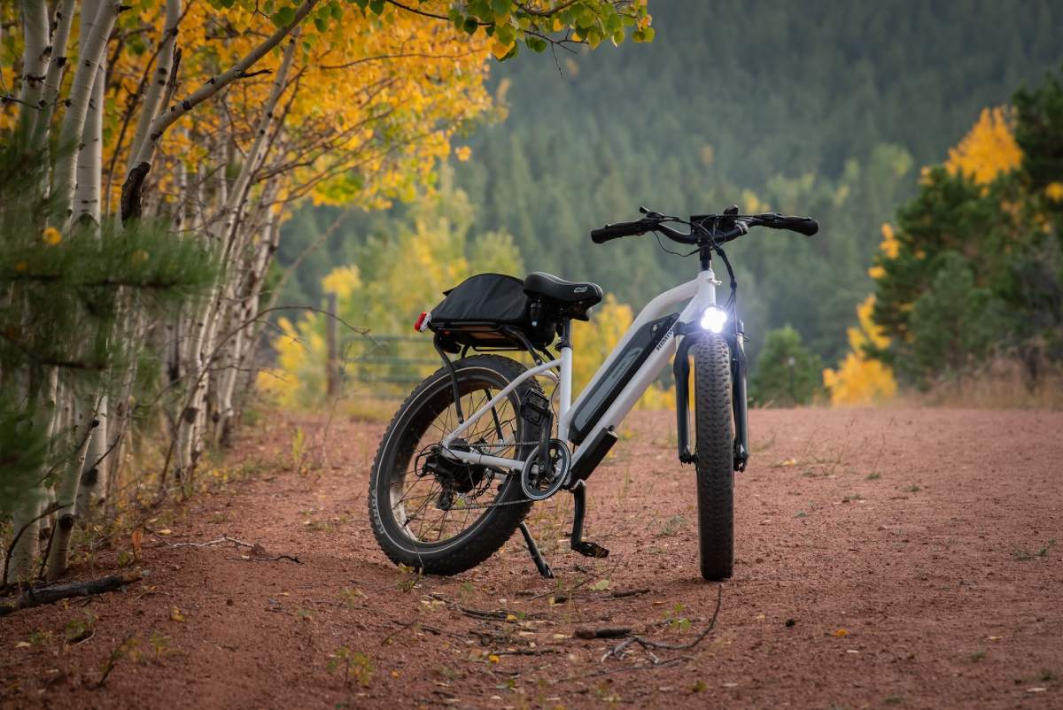 Electric Bikes