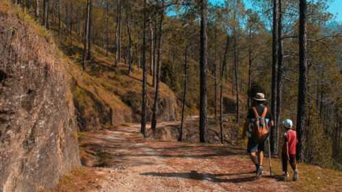 Travelling with Kids