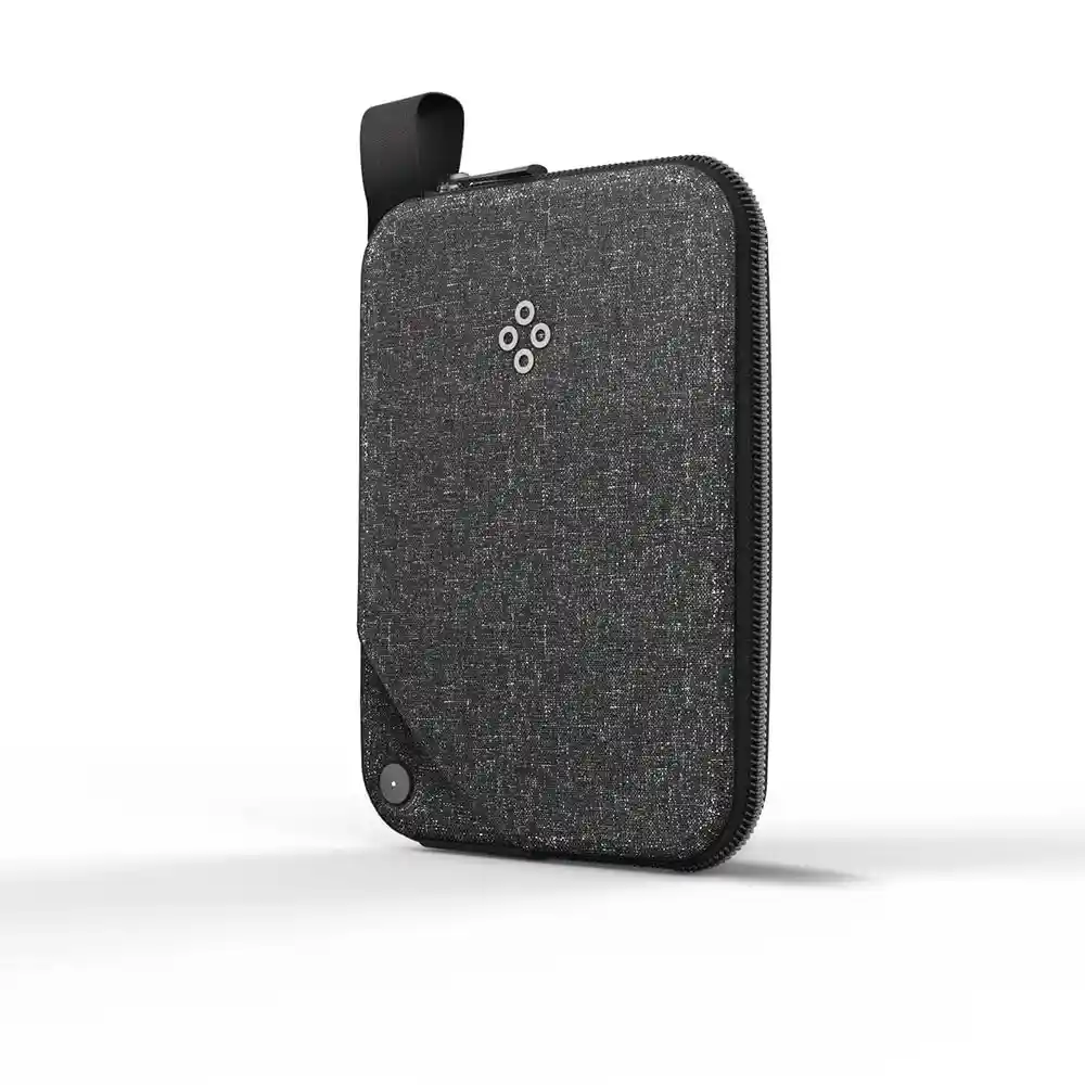 Bluesmart Passport