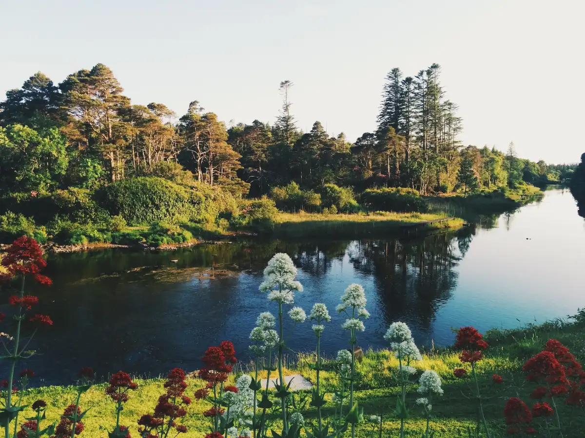 Explore Ireland