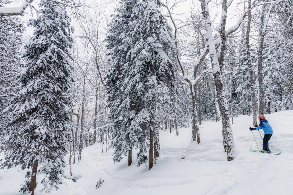 Snow Activities in Kufri