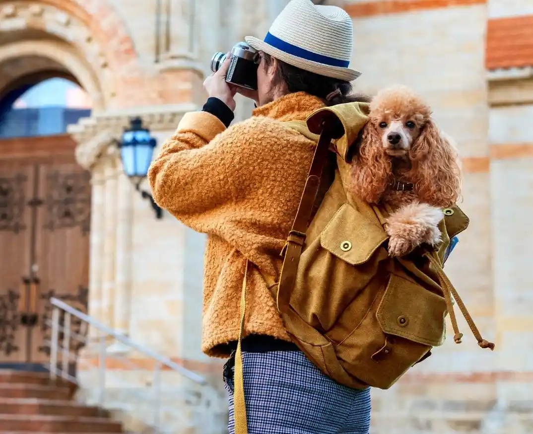 Pet Food Travel Bag