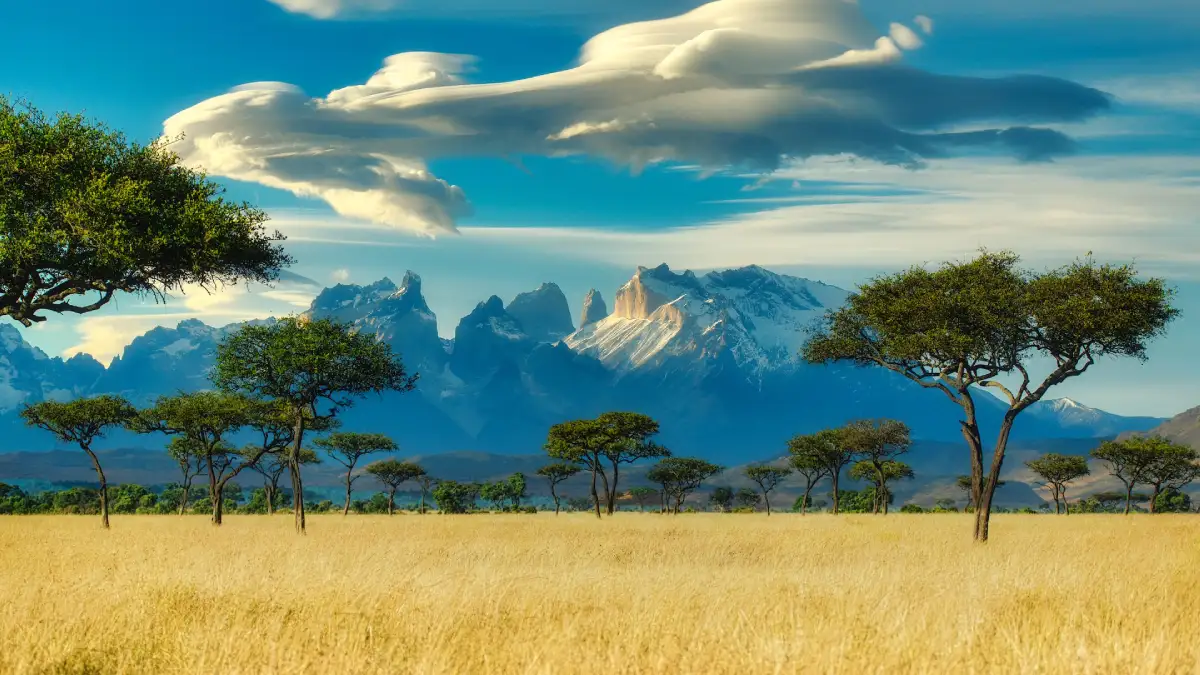 Africa Vacation Spot