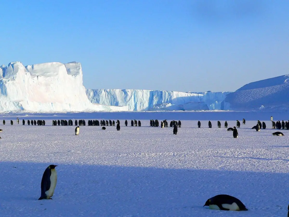 Facts About Antarctica
