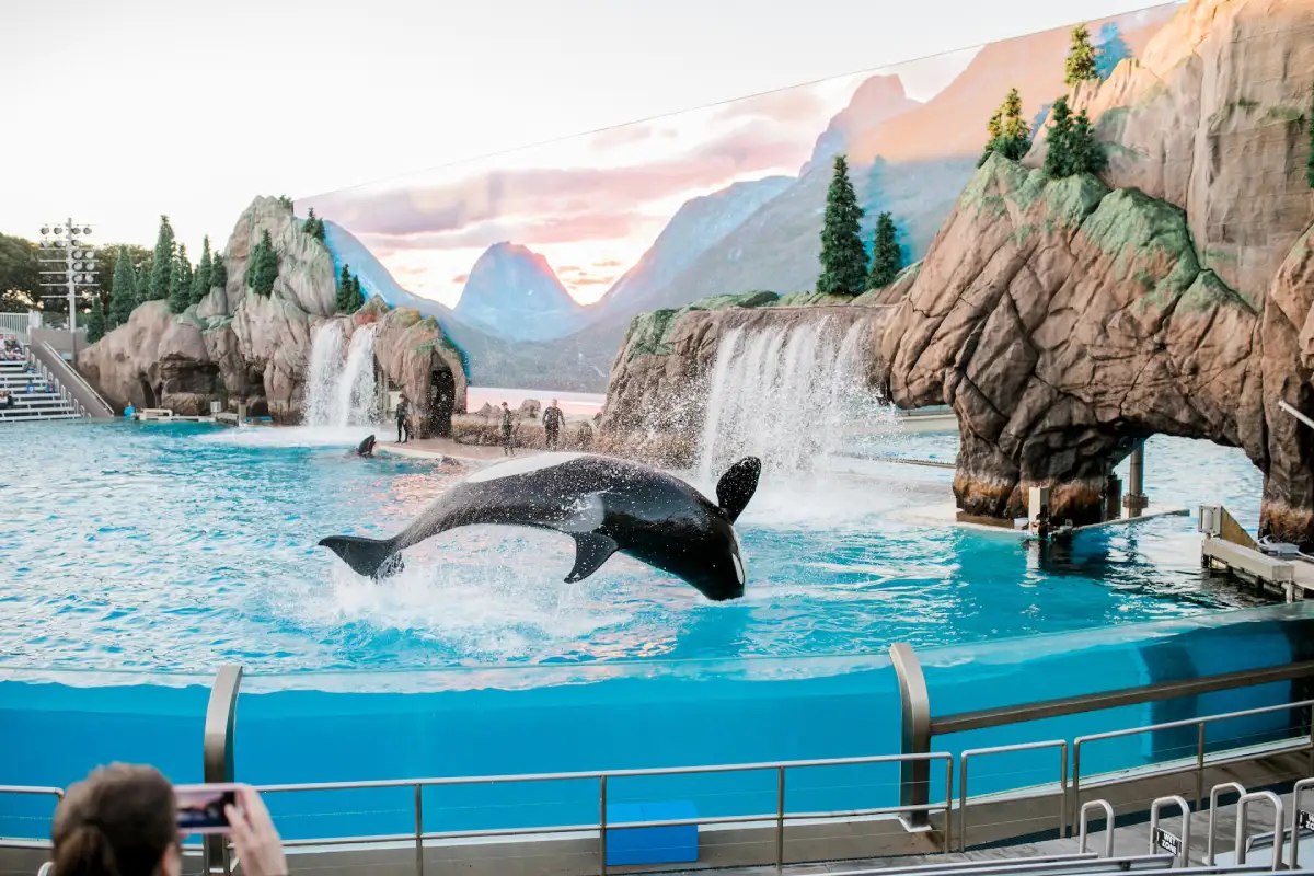 SeaWorld Abu Dhabi