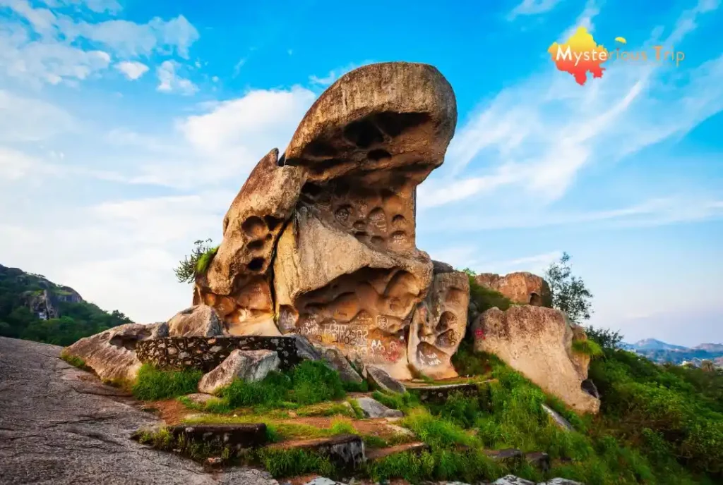Toad Rock Photos