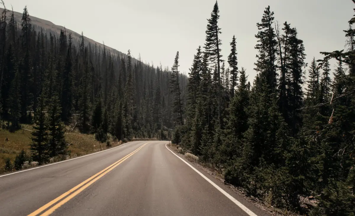 Southern US Road Trips
