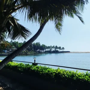 New Year Party in Trivandrum Resort