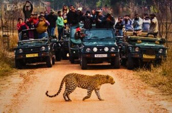Jhalana Leopard Safari park jaipur